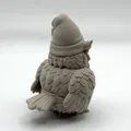 Mô hình Cú Râu (Beard Owl Figure) - Thumbnail 4