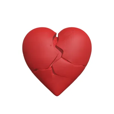 Decoration (Trang trí)