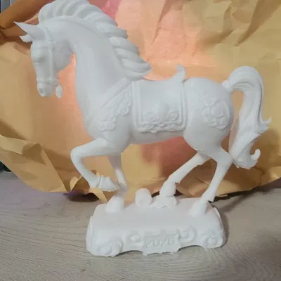 Năm Con Ngựa 2026 (2026 Year of the horse)