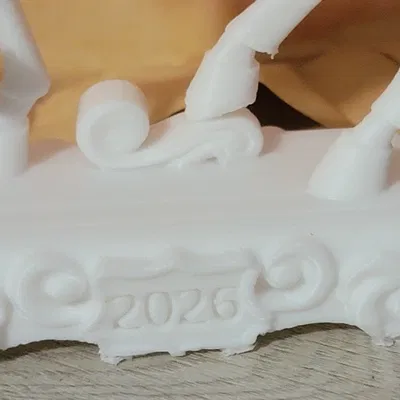 Năm Con Ngựa 2026 (2026 Year of the horse)