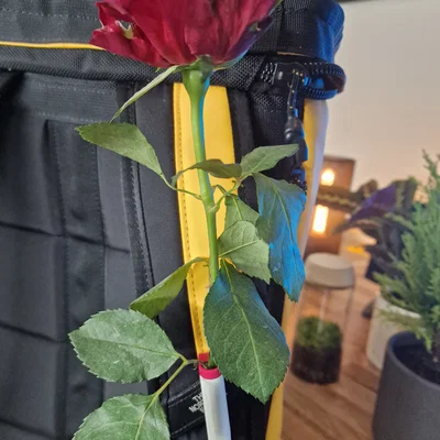 Kẹp Balo Hoa Hồng Valentine (Valentines Rose Backpack Clip)