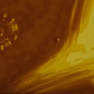 Interstellar Linthropane