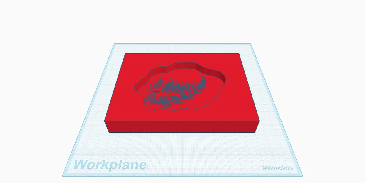 Khuôn Hóa Thạch Lá (Leaf Fossil Mold) - Image 2
