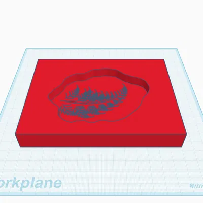 Khuôn Hóa Thạch Lá (Leaf Fossil Mold)