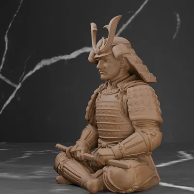 Samurai Giáp Trụ - Thiền Định