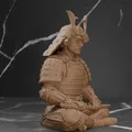 Samurai Giáp Trụ - Thiền Định - Thumbnail 3