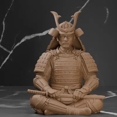 Samurai Giáp Trụ - Thiền Định