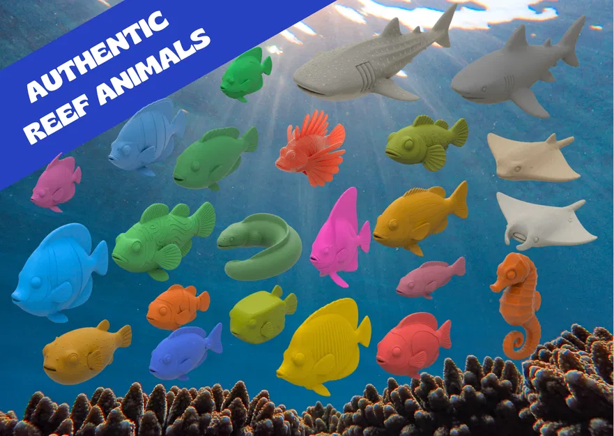 Authentic Animals - Coral Reef | Bộ sưu tập sinh vật rạn san hô 3D - Image 1