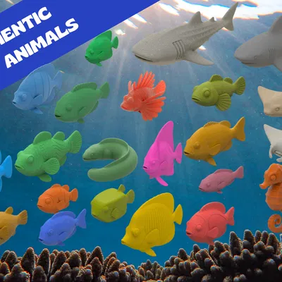 Authentic Animals - Coral Reef | Bộ sưu tập sinh vật rạn san hô 3D