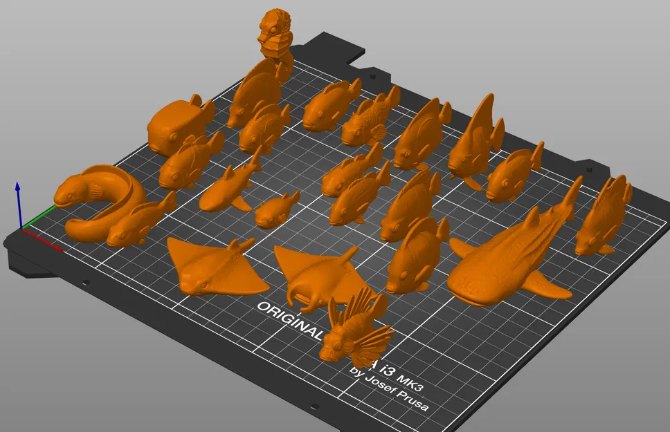 Authentic Animals - Coral Reef | Bộ sưu tập sinh vật rạn san hô 3D - Image 2