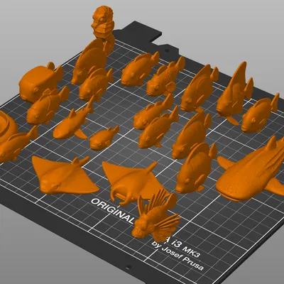 Authentic Animals - Coral Reef | Bộ sưu tập sinh vật rạn san hô 3D