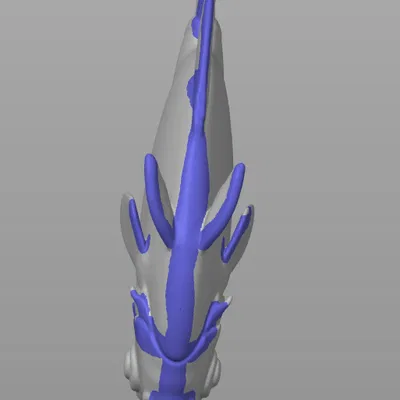 Authentic Animals - Coral Reef | Bộ sưu tập sinh vật rạn san hô 3D