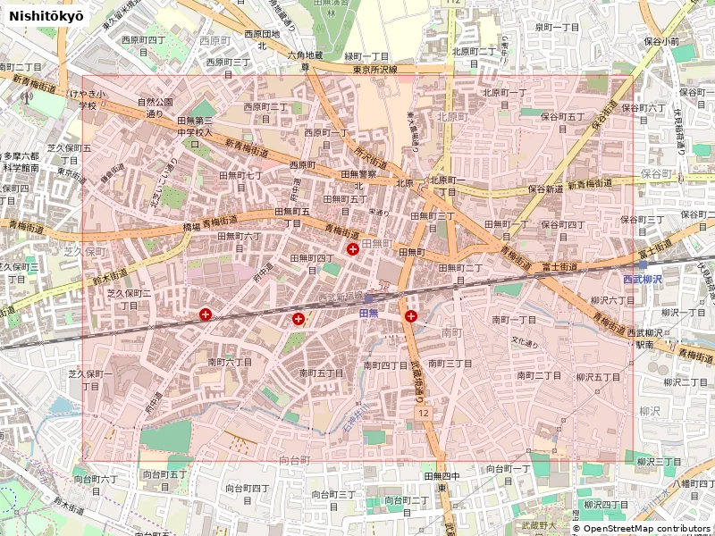 Nishitōkyō, Japan - 3D Miniature | Mô hình thu nhỏ địa hình in 3D - Image 8