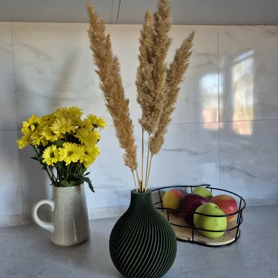 Bình hoa xoắn ốc (Spiral Vase)