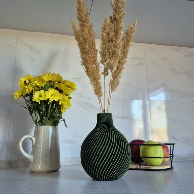 Bình hoa xoắn ốc (Spiral Vase)