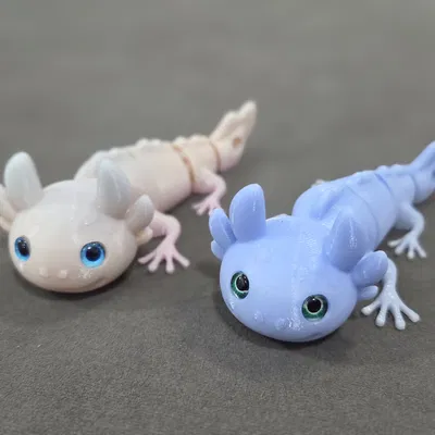 Axolotl Hybrid Khớp Nối – Tương Thích Mắt Kính 6mm