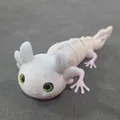 Axolotl Hybrid Khớp Nối – Tương Thích Mắt Kính 6mm - Thumbnail 10
