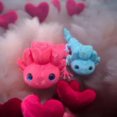 Lovolotl Valentine khớp nối – tương thích mắt kính 6mm + 8mm