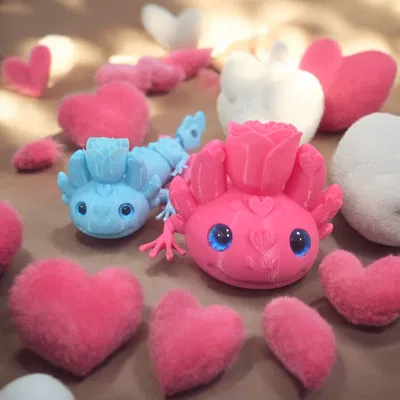 Lovolotl Valentine khớp nối – tương thích mắt kính 6mm + 8mm