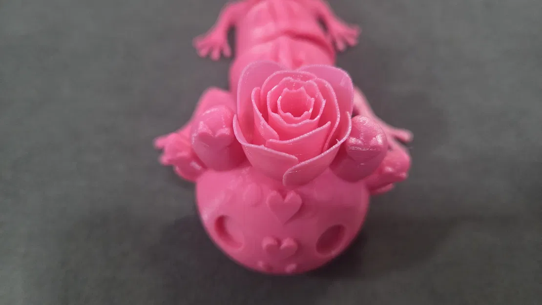 Lovolotl Valentine khớp nối – tương thích mắt kính 6mm + 8mm - Image 12