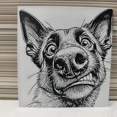 Hueforge perro gracioso