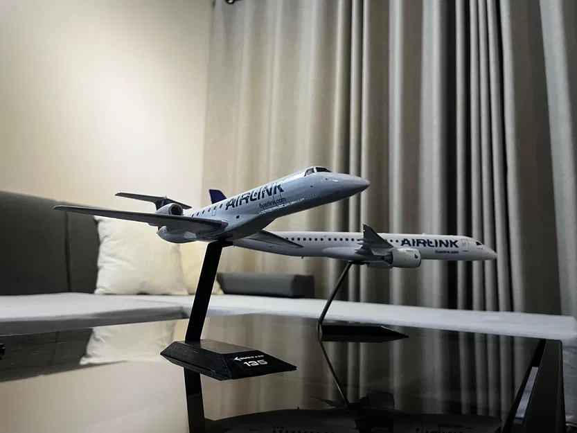 Embraer ERJ 135 (tỉ lệ 1:100) - Image 3