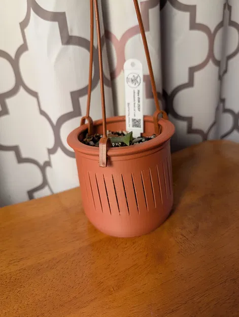 Chậu Cây Treo Tối Ưu The Lynn - Image 3