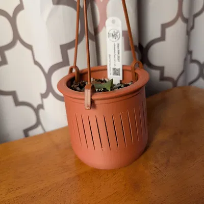 Chậu Cây Treo Tối Ưu The Lynn