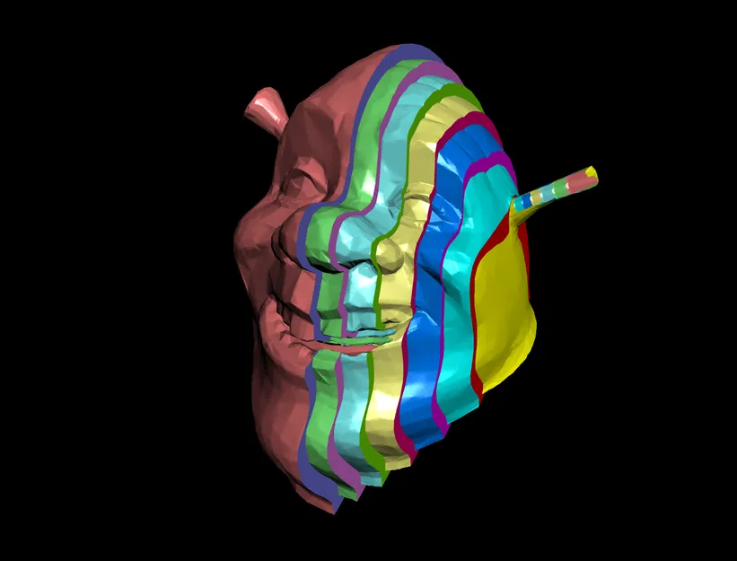 Các lớp (Layers) của Shrek - Image 1