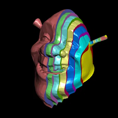 Các lớp (Layers) của Shrek