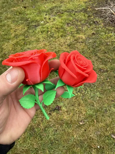 Hoa hồng Valentine chân thực tuyệt đẹp - Image 2