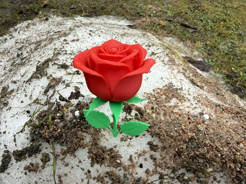 Hoa hồng Valentine chân thực tuyệt đẹp - Image 4