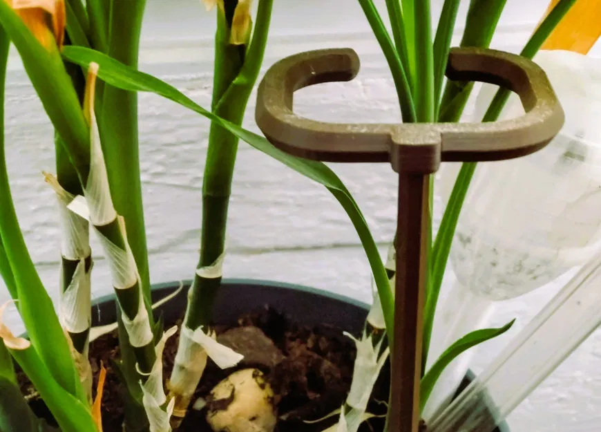 Floral support - Image 2