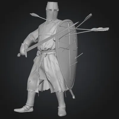 Hiệp Sĩ Thập Tự Chinh (Crusader Knight)