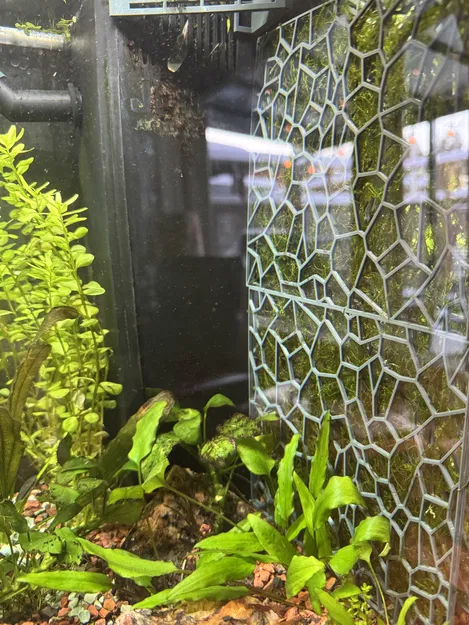 Vách rêu (moss wall) cho bể Juwel Primo - Image 1