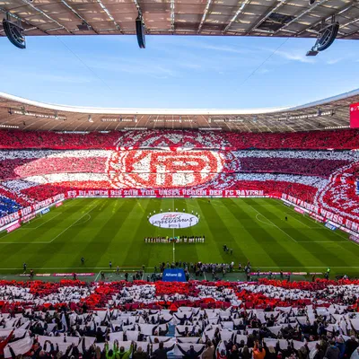 Nhà kèm Garage và Các Phần Hàng Rào