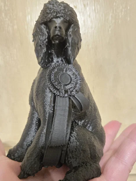 Champion Poodle - Image 1