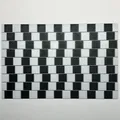 Ảo giác Cafe Wall (Cafe Wall Illusion) - Thumbnail 3