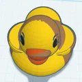 Vịt lấm bùn (Muddy Duck) - Thumbnail 1