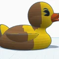 Vịt lấm bùn (Muddy Duck) - Thumbnail 2