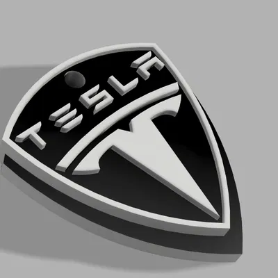 Móc khóa Tesla (Tesla Keychain)
