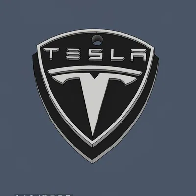 Móc khóa Tesla (Tesla Keychain)