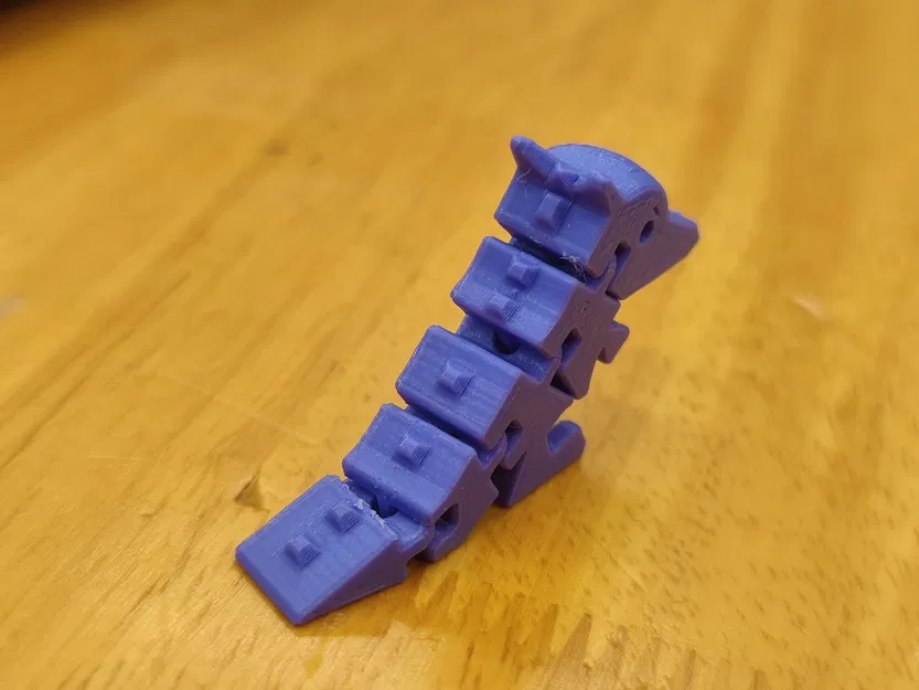 Baby Flexi Pachy - Image 3