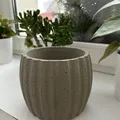 Khuôn đúc chậu cây bê tông (Concrete planter mold) - Thumbnail 1
