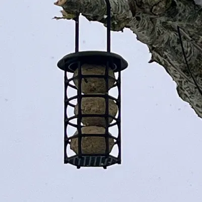 Máng Treo Fatball Cho Chim (Bird Fatball Feeder) Phiên Bản 2