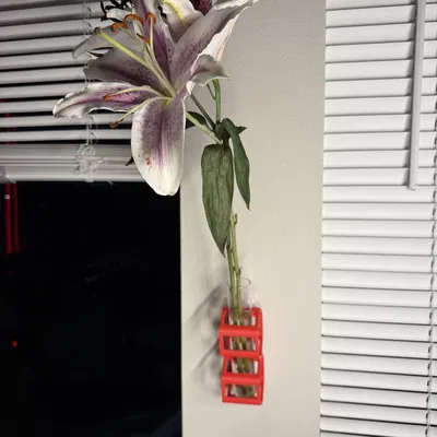 Bình hoa ống nghiệm treo tường hình lục giác