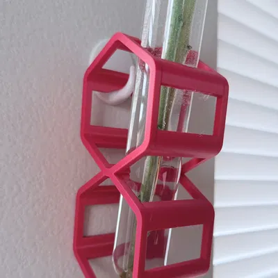 Bình hoa ống nghiệm treo tường hình lục giác