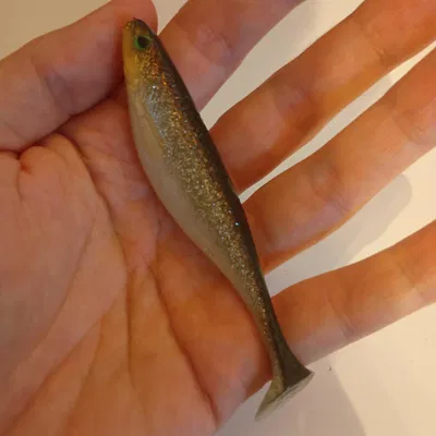 Khuôn Shad Softbait 9cm in 3D (Fishing Softbait Shad Mold 9cm)