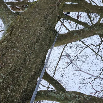 Biltema Geocache Rod Attachmants – Bộ attachment kéo/thả cache cho sào carbon