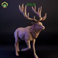 Elk 2 - Thumbnail 1